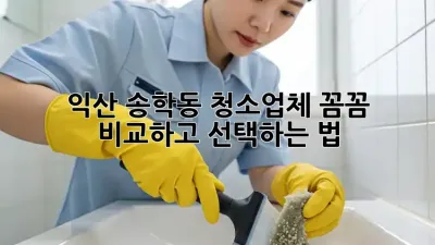 익산 송학동 청소업체, 꼼꼼 비교하고 선택하는 법 ✨